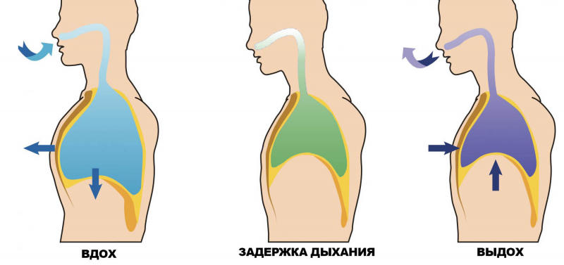 Як перевірити легені в домашніх умовах на коронавірус і пневмонію: поради