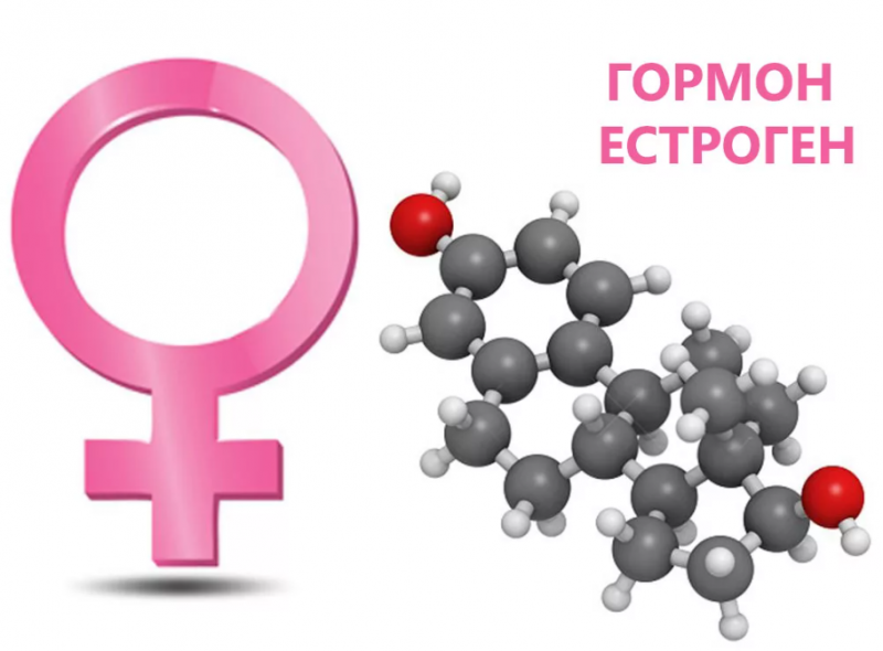 Как поднять эстроген у женщин естественными способами: мнение врачей, после 40-50 лет